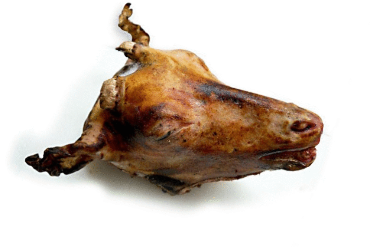 MUTTON HEAD WITHOUT BRAIN
